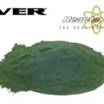 Alga Spirulina
