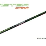 Monster Carp 13m