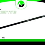 Grizzly Torrente