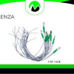 Tendi Lenza