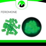 Attrattix Feromone